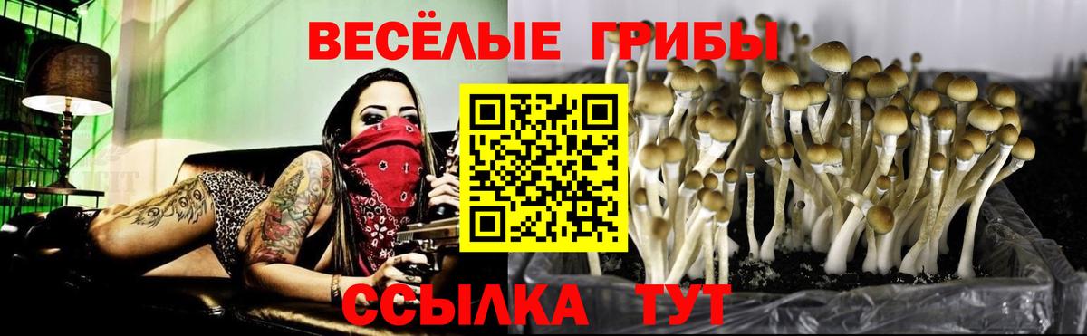 Галлюциногенные грибы прущие грибы  Вход с VPN  Лянтор  Галлюциногенные грибы Psilocybine cubensis 